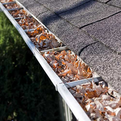 Expert Gutter Cleaning & Gutter Cover Services Kansas City