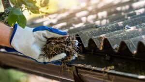 Gutter Company in Overland Park