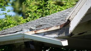 Gutter Replacement Company in Overland Park