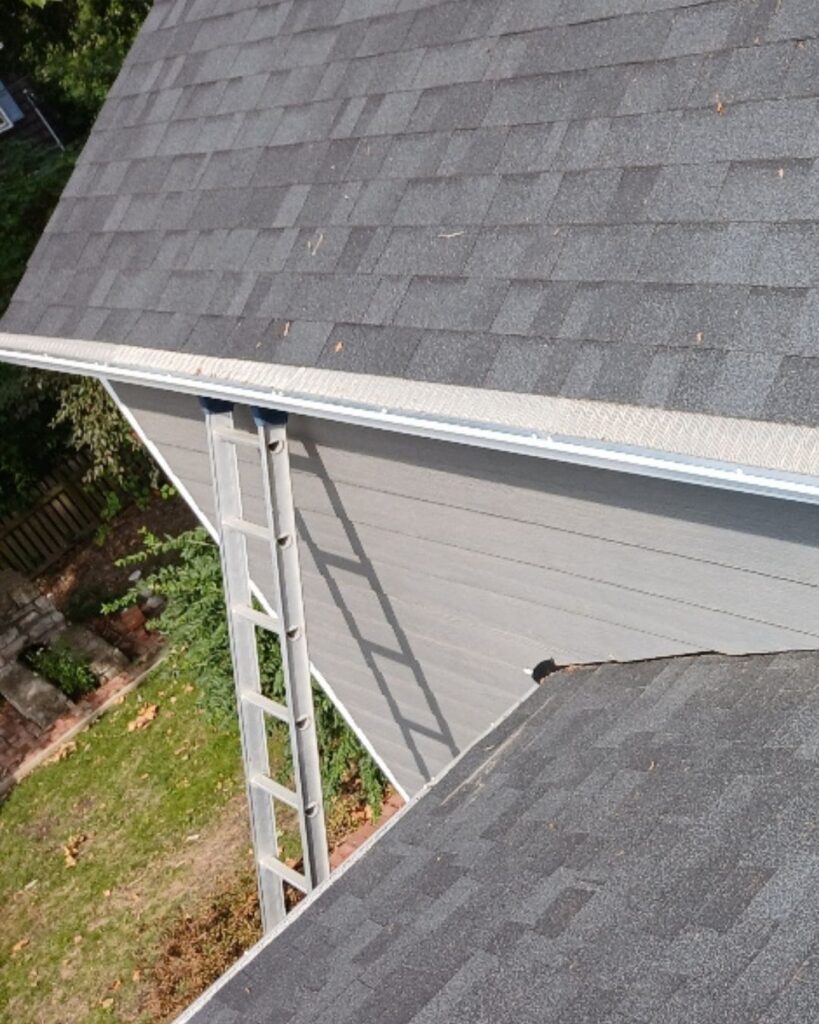 Gutter Cleaning